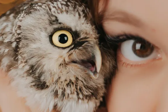 Casino MR Fortune Soporte